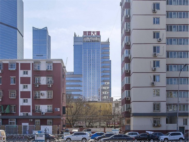 坪山宠圈活动哪家收费合理